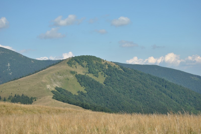 pepajs.cz